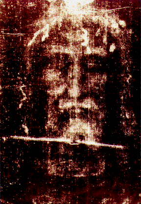 Jesuskopf vom Turiner Grabtuch